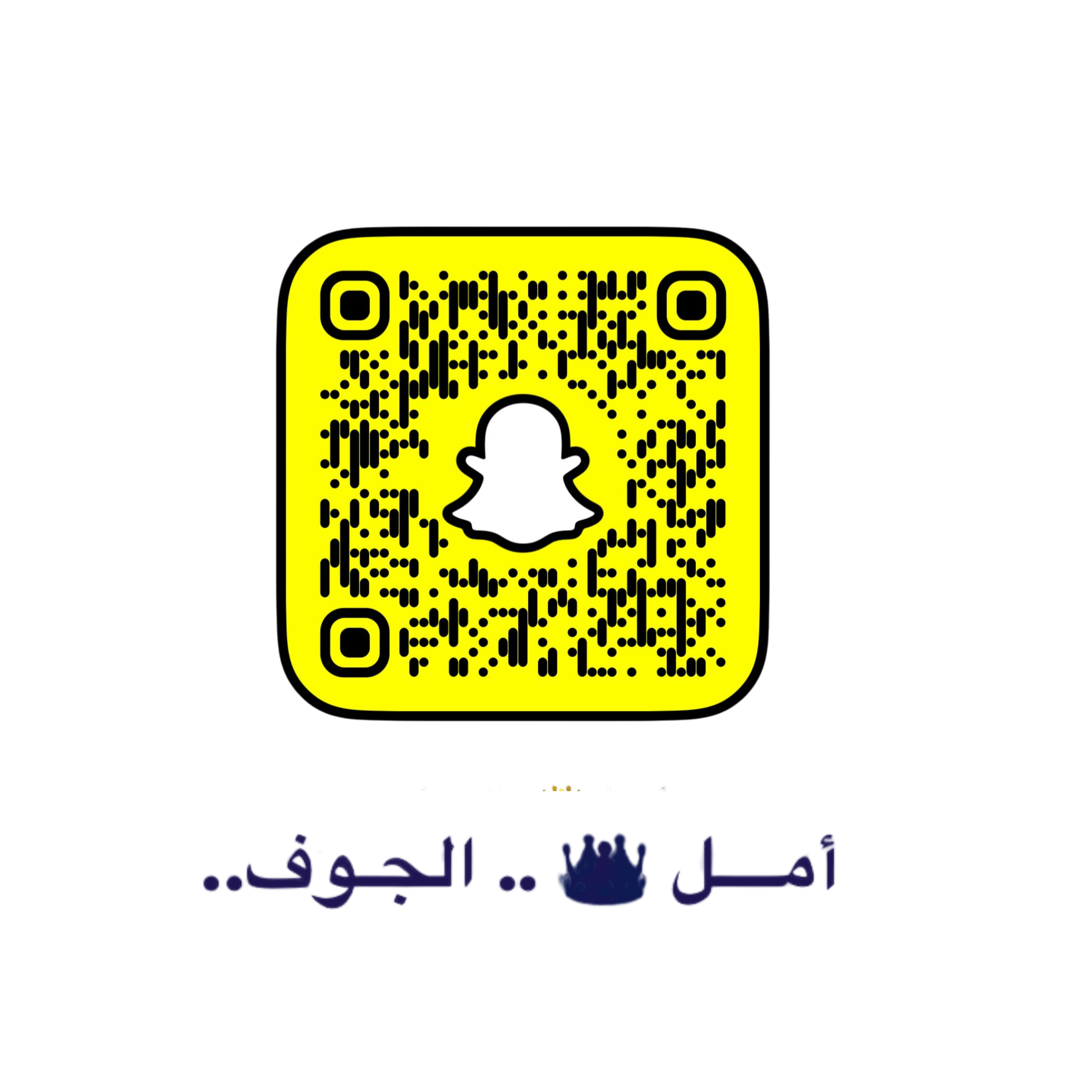 اسم الشركة 11